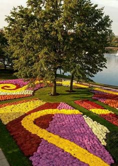 a large flower garden with trees and water in the background