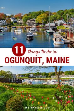 boats in the water with text overlay that reads 11 things to do in ognquiut, maine