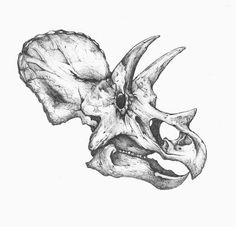 a drawing of an animal skull with its mouth open