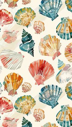 an image of colorful seashells on a white background that is perfect for wallpaper