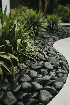 a garden with rocks and plants in it