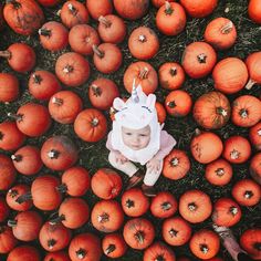 a baby in a bunny costume surrounded by pumpkins