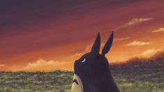 a black and white animal sitting on top of a lush green field under a red sky