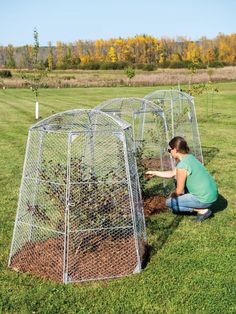 a woman kneeling down next to a tree in a caged area with other trees