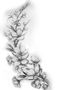 a drawing of flowers on a white background