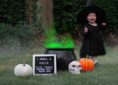 Hocus Pocus Pregnancy Announcement, Fall Gender Reveal Party, Sibling Gender Reveal, Baby 2 Announcement, Big Sister Announcement, Harry Potter Baby Shower