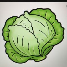 a green leafy vegetable on a white background