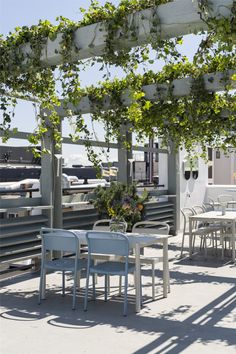 an outdoor dining area with tables and chairs under a pergolated roof covered in vines