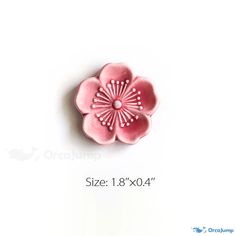 a pink flower is shown on a white background with measurements for the size and shape