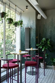 the interior of a restaurant with green walls and purple chairs, potted plants hanging from the ceiling