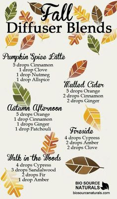 Simmer Pots, Fall Diffuser Blends, Săpunuri Handmade, Essential Oil Diffuser Blends Recipes, Oil Diffuser Recipes, Essential Oil Diffuser Recipes, Diffuser Recipes, Essential Oil Diffuser Blends