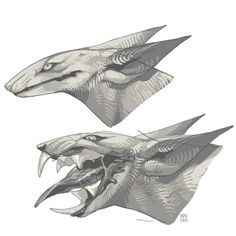 two drawings of an animal's head with sharp teeth