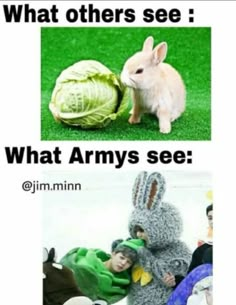 two pictures with rabbits and cabbages on them, one has an egg in the other