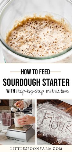 how to feed sourdough starter with step - by - step instructions