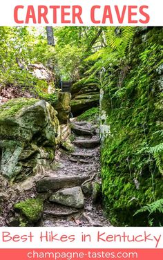 the best hikes in kentucky with text overlay