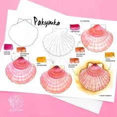 some pink and yellow scallop shells on top of paper with watercolors