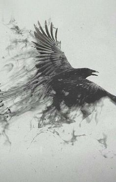 a black bird flying through the air with its wings spread