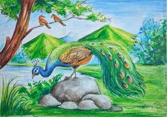 a drawing of a peacock on top of a rock next to a tree and water