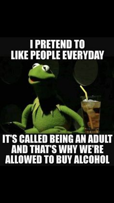 kermie the frog drinking tea and saying i pretend to like people everyday it's called being an adult and that's why we're allowed to buy alcohol