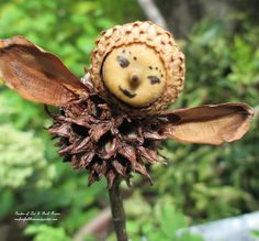 a close up of a flower with a face on it