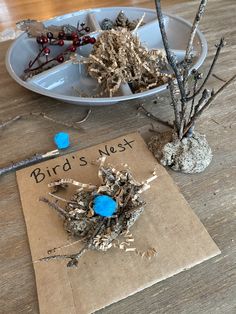 some branches are sitting on the table next to a sign that says bird's nest