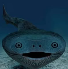 an image of a smiling fish under the water's surface with it's mouth open