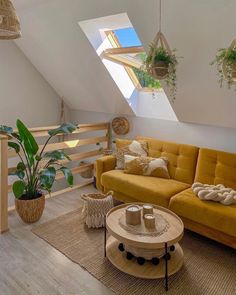 a living room with yellow couches and potted plants on the wall above them