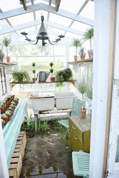 a room filled with lots of potted plants