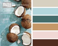 coconuts with different shades of brown, blue and pink on them are shown in this color palette