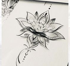 a black and white drawing of a flower with leaves on it's back side