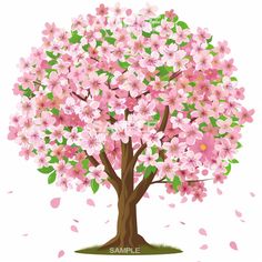 a tree with pink flowers on it and the words sample written in green lettering below