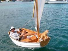 a man sitting in a small sailboat with a cat on the front and side