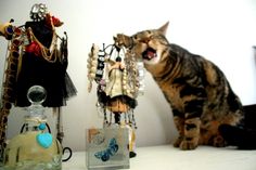 a cat sitting on top of a table next to two glass bottles filled with jewelry