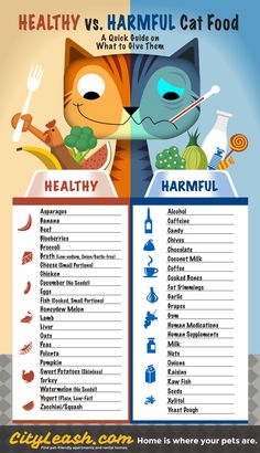 a poster with the words healthy versus harmul cat food and what to eat them