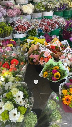 many different types of flowers are on display