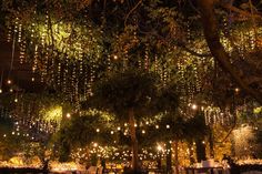 an outdoor event with lights hanging from the ceiling and tables set for dinner under trees