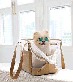 a small dog wearing sunglasses sitting in a tote bag on top of a couch