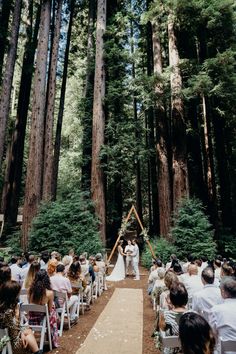 a couple getting married in the middle of a forest with lots of trees around them