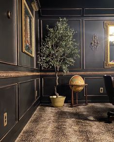 a small tree in a room with black walls