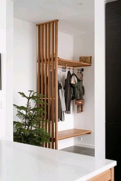 a coat rack in the corner of a room with clothes hanging on it and a potted plant next to it