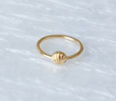 Gold dainty seashell ring. Material is gold plated over stainless steel. One Size - around size 6. Seashell Ring, Dainty Chain Necklace, Summer Rings, Small Necklace, Shell Ring, Gem Ring, Wire Wrapped Rings, Glass Beaded Bracelets, Seed Bead Bracelets