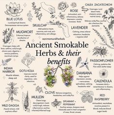 Smokeable Herbs, Herbs And Their Benefits, Smokable Herbs, Dream Herbs, Magia Das Ervas, Magic Herbs, Magical Herbs, Witch Spell Book, Herbal Healing