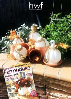 a magazine sitting on top of a brick wall next to flowers and potted plants