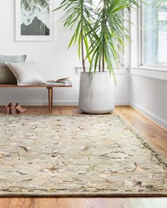 a living room with a large rug and plant in the corner, along with other furniture