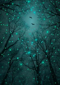 a forest filled with lots of trees covered in green fireflies and flying birds at night