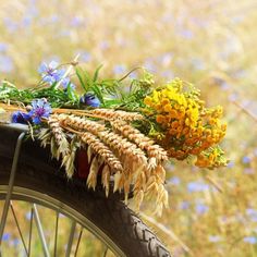 some flowers are sitting on top of a bike tire