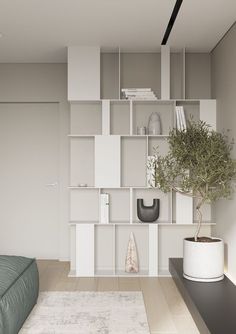 a living room with a couch, bookshelf and plant