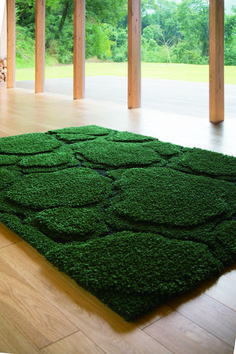 a large green rug on the floor in a room