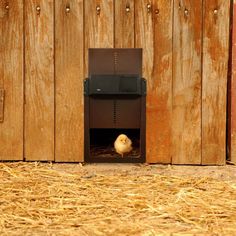 a chicken is sitting in its coop on the ground next to a wooden wall and fence