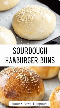 homemade sourdough hamburger buns with sesame seeds on top and in the background